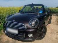 Brugt Mini Cooper Cabriolet 122 HK (89 kW) 2013 Brun Cabriolet