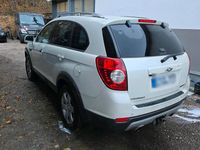 Gebraucht Chevrolet Captiva 164 PS (120 kW) 2013 Weiß SUV