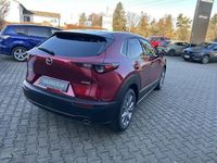 Neu Mazda CX-30 140 PS (102 kW) 2026 Rot SUV