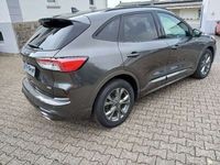Gebraucht Ford Kuga ST-Line X 224 PS (164 kW) 2020 Magneticgrau (metallic) SUV