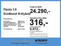 gebraucht Ford Fiesta 1.0 EcoBoost M-Hybrid ST-Line X FLA LM