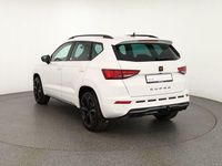 Neu Cupra Ateca 150 PS (110 kW) 2025 Weiß SUV