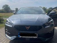 Gebraucht Cupra Leon Basis 245 PS (180 kW) 2023 Grau Limousine