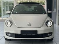 gebraucht VW Beetle *PANO*NAVI*SOUND*LEDER*KEYL*F1*XENO*DAB+*