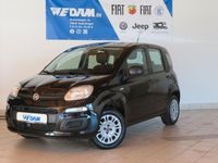 Gebraucht Fiat Panda Easy 69 PS (50 kW) 2020 Cinema schwarz Limousine