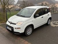 Gebraucht Fiat Panda 69 PS (50 kW) 2023 Weiß Kleinwagen