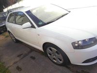 Gebraucht Audi A3 S-Line 105 PS (77 kW) 2007 Weiß Kleinwagen