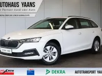 Gebraucht Skoda Octavia Ambition 150 PS (110 kW) 2023 Weiß Limousine