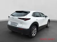 Gebraucht Mazda CX-30 Selection 122 PS (89 kW) 2023 Weiss SUV