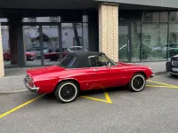 Gebraucht Alfa Romeo Spider Veloce 130 PS (95 kW) 1981 Cabrio