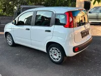 Gebraucht Fiat Panda Easy 69 PS (50 kW) 2019 Kleinwagen
