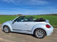 gebraucht VW Beetle 1.2 TSI BMT Design Cabriolet Design