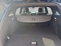 Gebraucht Ford Focus ST-Line X 155 PS (114 kW) 2024 Chrome blue metallic Kombi