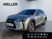 Gebraucht Lexus UX 250h 184 PS (135 kW) 2022 Silber SUV