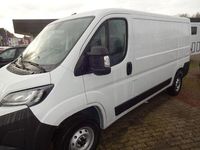 Gebraucht Fiat Ducato 103 PS (75 kW) 2024 Weiss Van