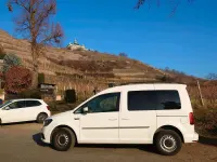 Gebraucht VW Caddy Trendline 102 PS (75 kW) 2019 Weiß Van / Kleinbus