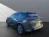 Gebraucht Lexus UX 250h Sport Line 152 PS (111 kW) 2024 Grün SUV