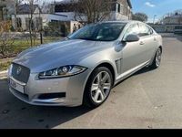 gebraucht Jaguar XF …