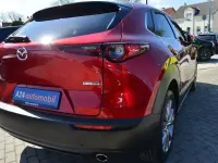 Second-hand Mazda CX-30 Selection 122 CP (89 kW) 2020 Roșu SUV