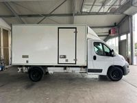 gebraucht Fiat Ducato Maxi Kühlwagen