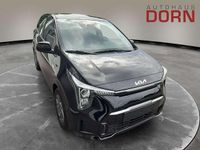 Neu Kia Picanto Vision 63 PS (46 kW) 2025 Schwarz Kleinwagen