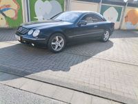 gebraucht Mercedes CL500 