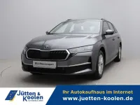 Nowe Skoda Octavia Selection 150 KM (110 kW) 2026 Wählbar  ggf gegen aufpreis Kombi