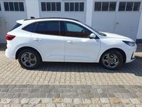 Neu Ford Kuga ST-Line 179 PS (131 kW) 2025 Weiß SUV