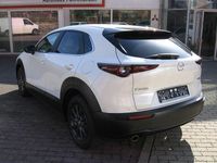 Gebraucht Mazda CX-30 Selection 122 PS (89 kW) 2020 Weiß SUV