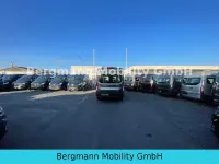 Gebraucht Ford Transit 131 PS (96 kW) 2023 Grau Van