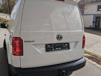 Gebraucht VW Caddy 84 PS (61 kW) 2019 Weiß Van / Kleinbus