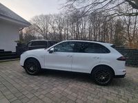 Gebraucht Porsche Cayenne Platinum Edition 262 PS (192 kW) 2016 Weiß SUV