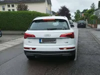 Gebraucht Audi Q5 204 PS (150 kW) 2024 Weiß SUV