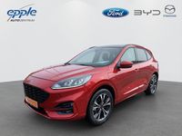 Gebraucht Ford Kuga ST-Line 224 PS (164 kW) 2021 Lucidrot metallic (metallic) SUV