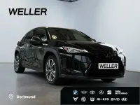 Gebraucht Lexus UX 250h Launch Edition 152 PS (111 kW) 2019 Schwarz SUV