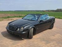 Gebraucht Mercedes CLK230 193 PS (141 kW) 2000 Schwarz Cabrio