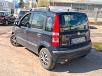Gebraucht Fiat Panda Dynamic 60 PS (44 kW) 2010 Schwarz Kleinwagen