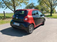Używany Smart ForFour Basis 61 KM (44 kW) 2016 Czerwony Hatchback