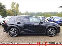 Gebraucht Lexus UX 184 PS (135 kW) 2022 Schwarz SUV