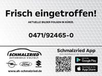 Neu BYD Dolphin Surf Active 64 kW (88 PS) 2025 Blau Kleinwagen