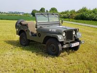gebraucht Jeep Willys M38A1, M38, Hotchkiss, HU+H, Gewährleistung