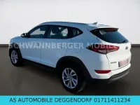 Gebraucht Hyundai Tucson Trend 116 PS (85 kW) 2016 Weiß SUV