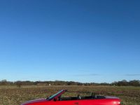 Gebraucht BMW 320 Cabriolet Basis 150 PS (110 kW) 1994 Rot Cabrio