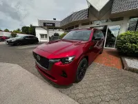 Neu Mazda CX-80 Homura-Line 254 PS (186 kW) 2026 SUV