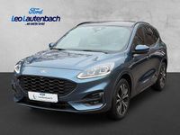 Usata Ford Kuga ST-Line X 224 CV (164 kW) 2022 Blu SUV