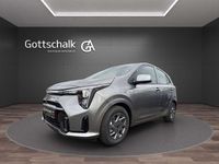 Neu Kia Picanto Vision 68 PS (50 kW) 2025 Astrograu metallic Kleinwagen