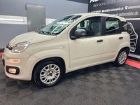 Gebraucht Fiat Panda Easy 69 PS (50 kW) 2017 Beige Kleinwagen