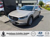 Neu Mazda CX-30 Exclusive 140 PS (102 kW) 2026 Braun SUV