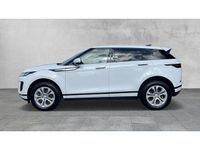 Gebraucht Land Rover Range Rover evoque S 150 PS (110 kW) 2020 Weiß SUV