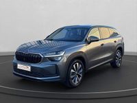 Gebraucht Skoda Kodiaq Selection 193 PS (141 kW) 2024 Grau SUV